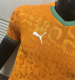2025 Coate d'Ivoire home Player Version Thailand Quality