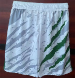 25-26 Senegal Soccer shorts Thailand Quality