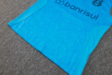 2024/25 Grêmio Blue Vest Training Jersey(A Set)
