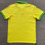 2023/24 Nantes Home Yellow Fans Soccer Jersey