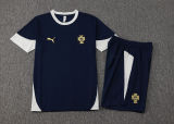 2025/26 Portugal Black Purple Training Jersey(A Set)