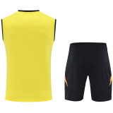 2025/26 AT Mineiro Yellow Vest Training Jersey(A Set)