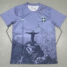 2025/26 Brazil Special Edition Fans Soccer Jersey
