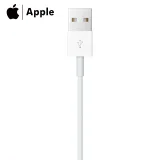 Apple Lightning to USB Cable 