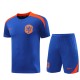 2024 Netherlands Blue Training Shorts Suit
