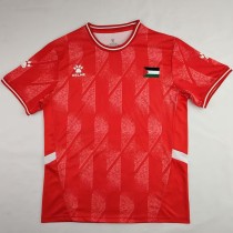 2024/25 CD Palestino Special Edition Fans Soccer jersey
