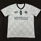 2024/25 CD Palestino Gray Training Shirts