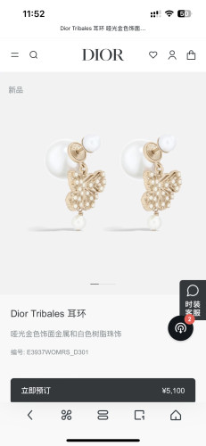 Jewlry Dior