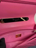 Chanel Chane AP2846