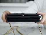 Chanel Woc AP0250