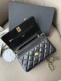 Chanel logo AP0253