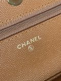 Chanel Woc AP0250