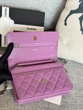 Chanel Woc AP0250