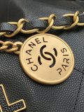Chanel bag AS3261