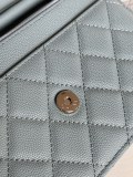 Chanel Woc AP0250