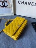 Chanel Chane AP2846