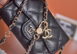 Chanel mini