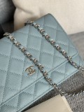 Chanel Woc AP0250