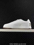 Puma Caven