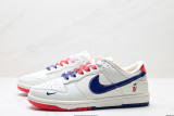 NK Dunk Low Retro