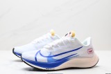 Nike Air Zoom Pegasus