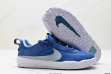 Nike SB DAY ONE