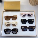 Sunglass Loewe
MOD