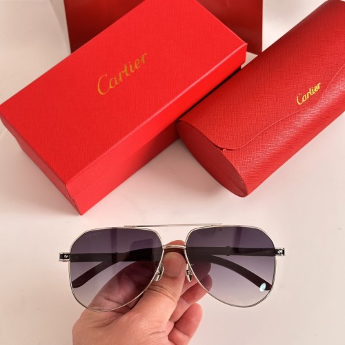 Sunglass Cartie