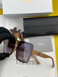 Sunglass GUCCI