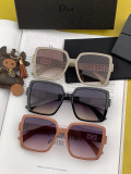 Sunglass DIOR