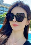 Sunglass LV
