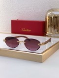 Sunglass Cartie