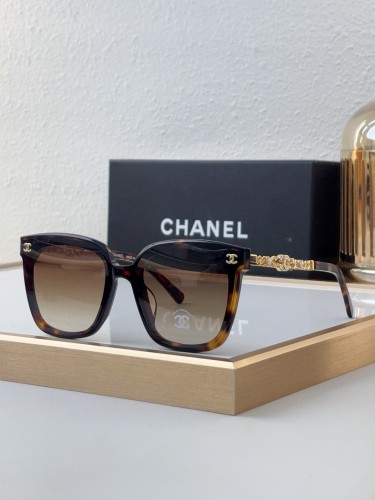 Sunglass CHANE