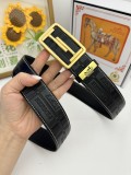 Belt Herm