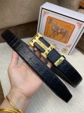 Belt Herm