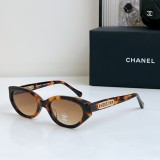 Sunglass MOD
