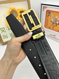 Belt Herm