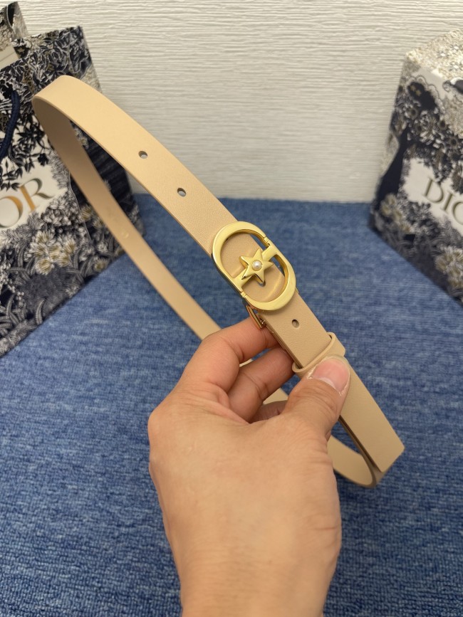 Belt Christian Dior Paris