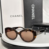 Sunglass CHANE