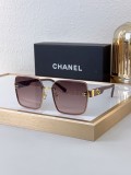 Sunglass CHANE