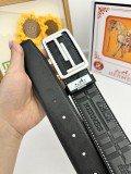 Belt Herm