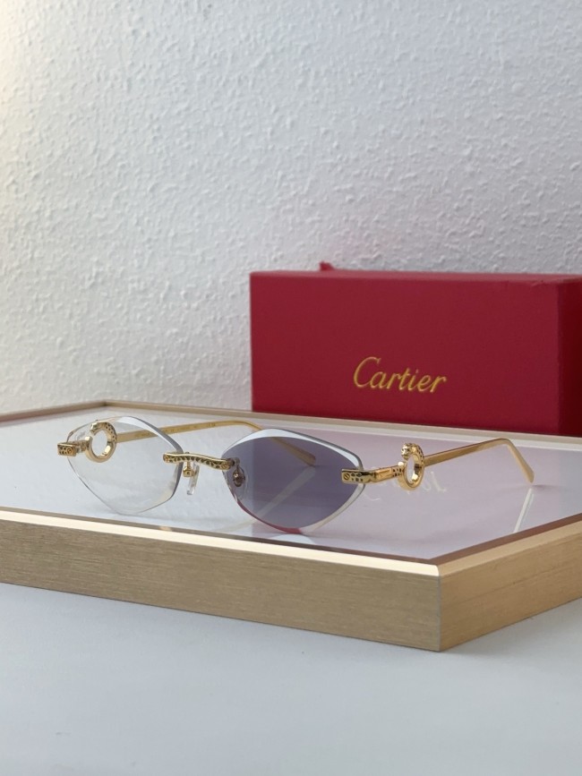 Sunglass Cartie
