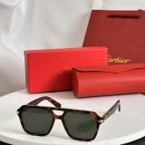 Sunglass Cartie