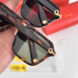 Sunglass Cartie