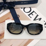 Sunglass DIOR
MOD