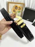 Belt Montblanc