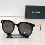 Sunglass CHANE