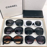 Sunglass CHANE