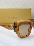 Sunglass Loewe
MOD
