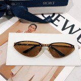 Sunglass DIOR FASTER